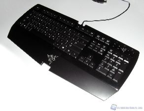 razer arctosa 1